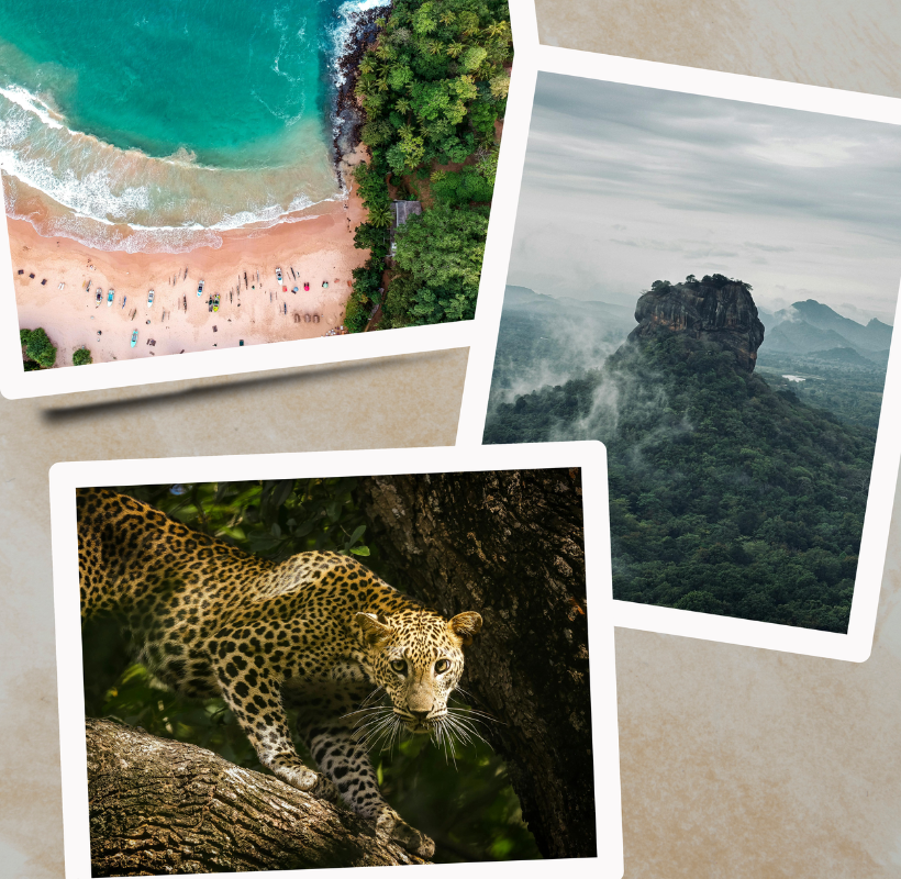 Dreamland Escape - Complete Sri Lanka Circuit